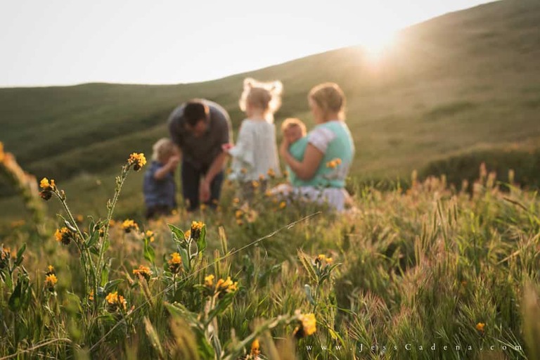 Outdoor newborn session in the wildflowers bakersfield