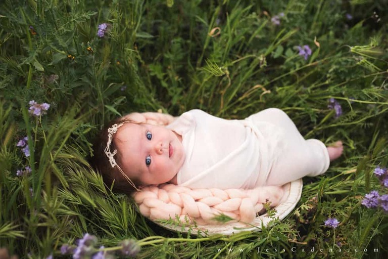 Outdoor newborn session in the wildflowers bakersfield