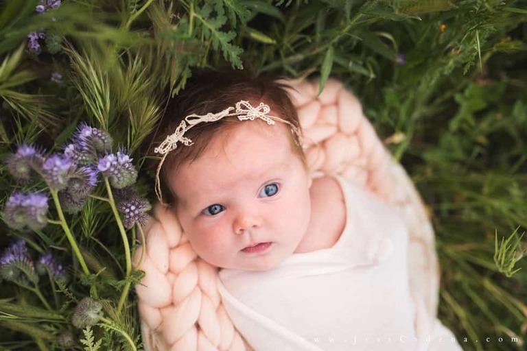Outdoor newborn session in the wildflowers bakersfield