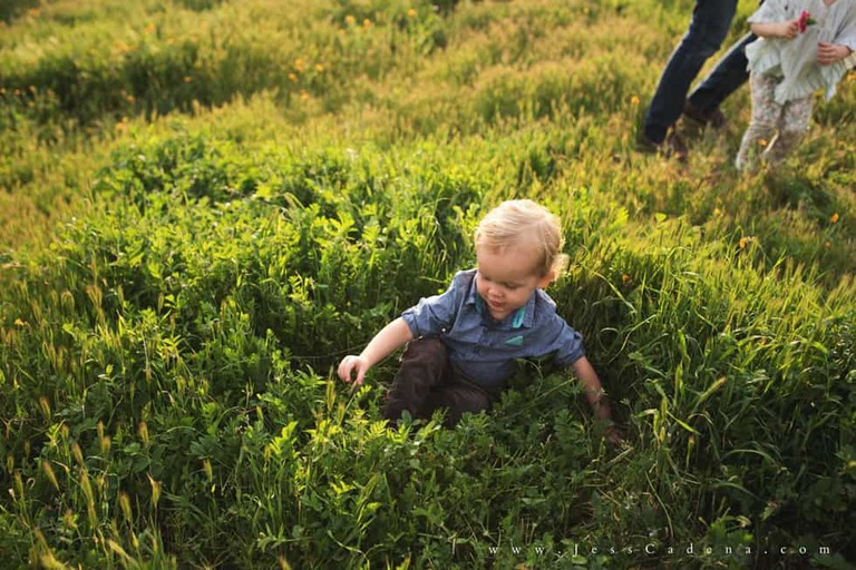 Outdoor newborn session in the wildflowers bakersfield
