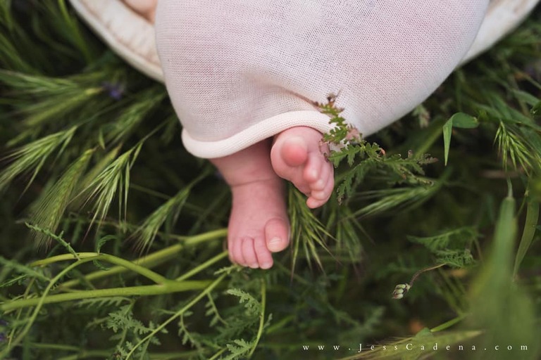 Outdoor newborn session in the wildflowers bakersfield