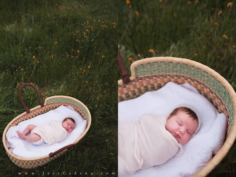 Outdoor newborn session in the wildflowers bakersfield