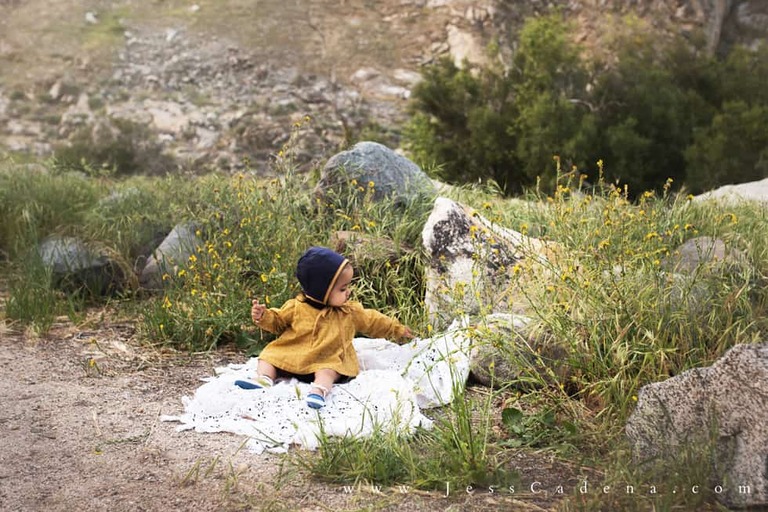 Baby girl wildflower photographer Bakersfield mountains