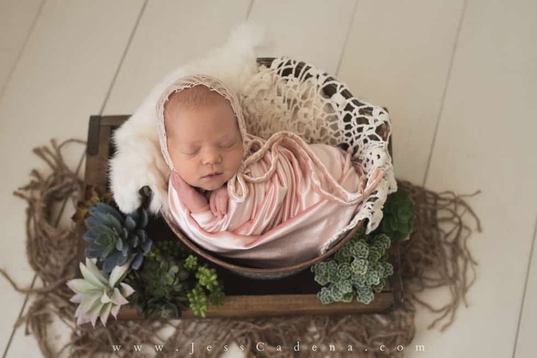 Succulents Newborn Photography Bakersfield