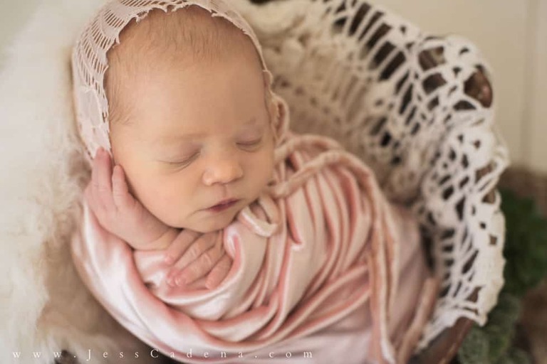 Succulents Newborn Photography Bakersfield