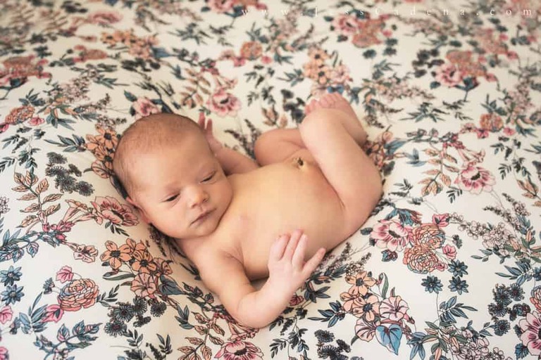 Succulents Newborn Photography Bakersfield