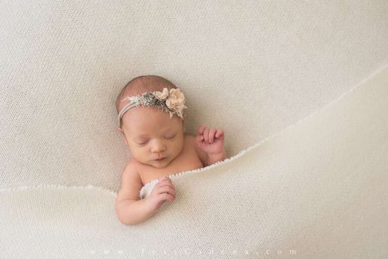 Succulents Newborn Photography Bakersfield