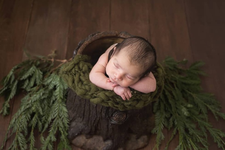 Newborn and family session, lumberjack and pine