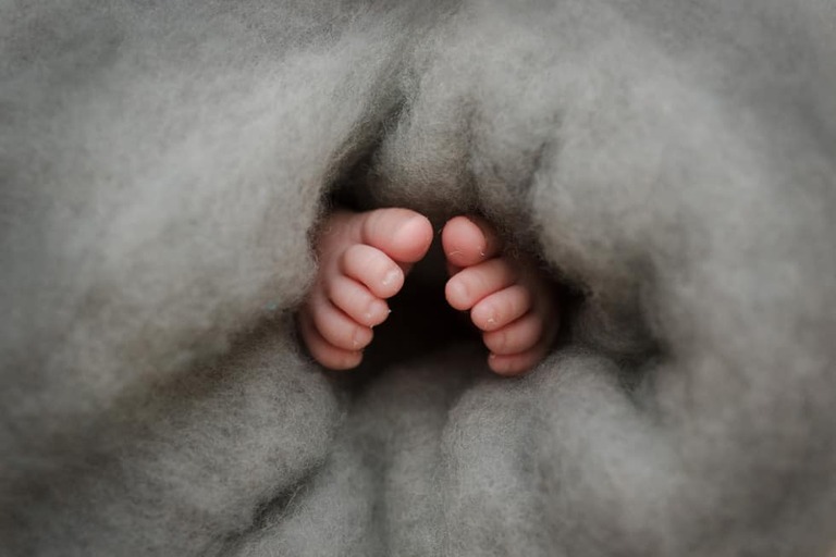 Baby Bear Newborn Session Bakersfield CA