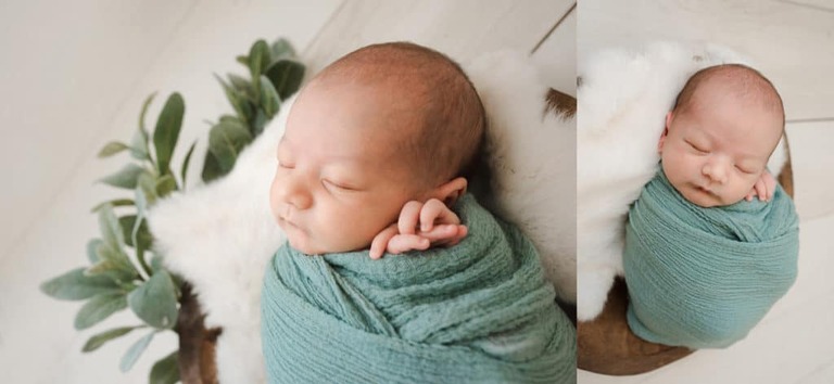 Newborn Baby with lambs ear greenery