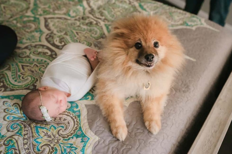 Sweet Grace Newborn Photographer Bakersfield