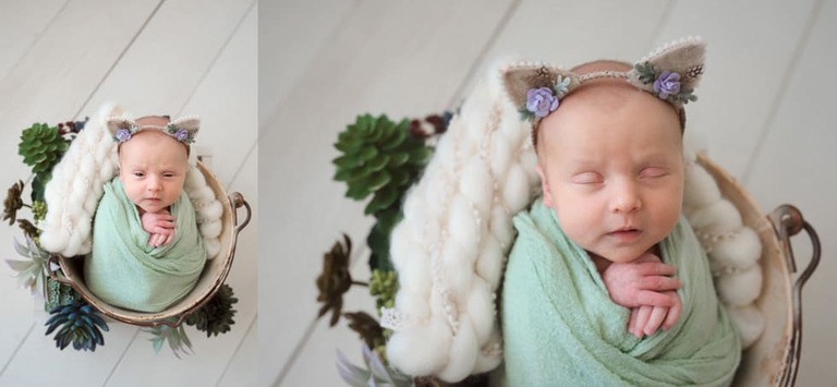 Baby Girl Newborn Session Kitty Succulents
