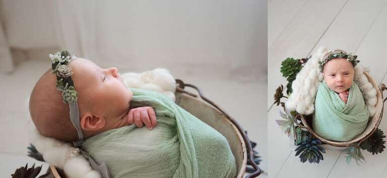 Baby Girl Newborn Session Kitty Succulents