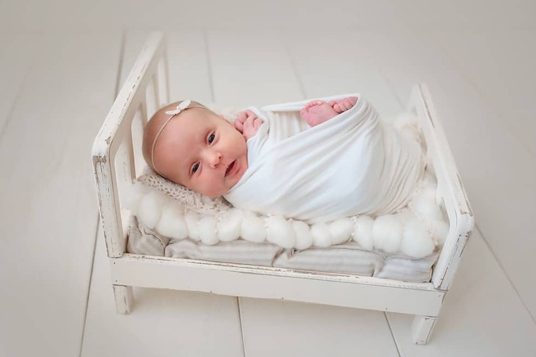 Baby Girl Newborn Session Kitty Succulents