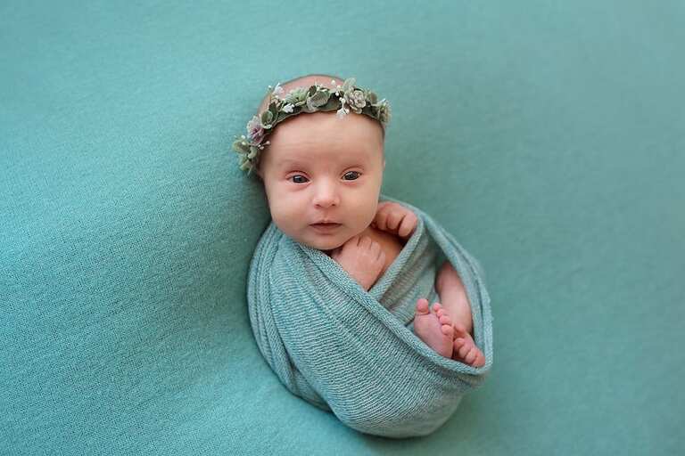 Baby Girl Newborn Session Kitty Succulents