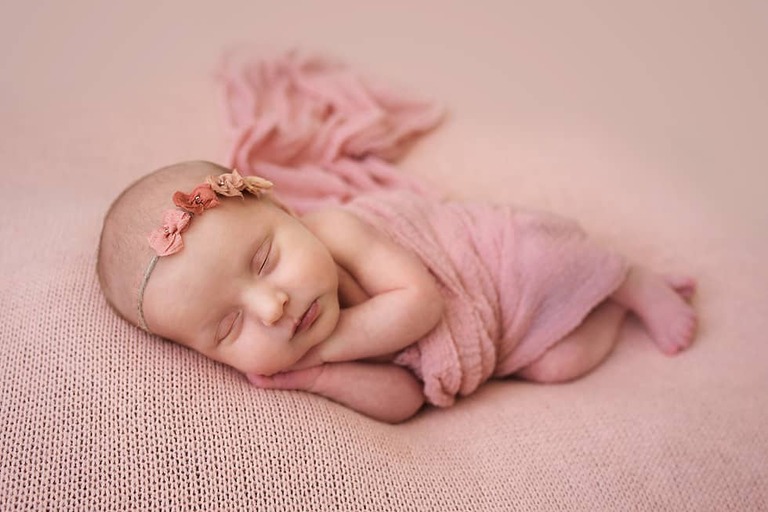 Baby Girl Newborn Session Kitty Succulents