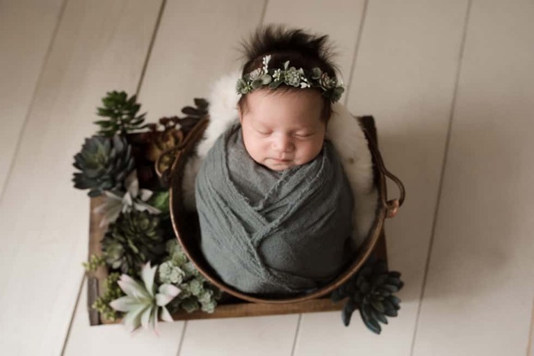 Newborn baby girl wrapped in bucket with succulents and white wood floor.