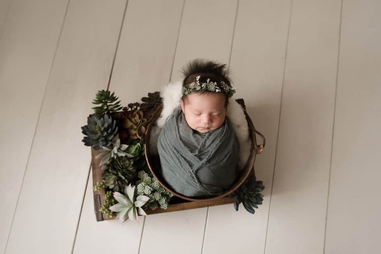 Baby girl wrapped in bucket with succulents and white wood floor.